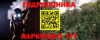 ALPHA PVP Мариинск