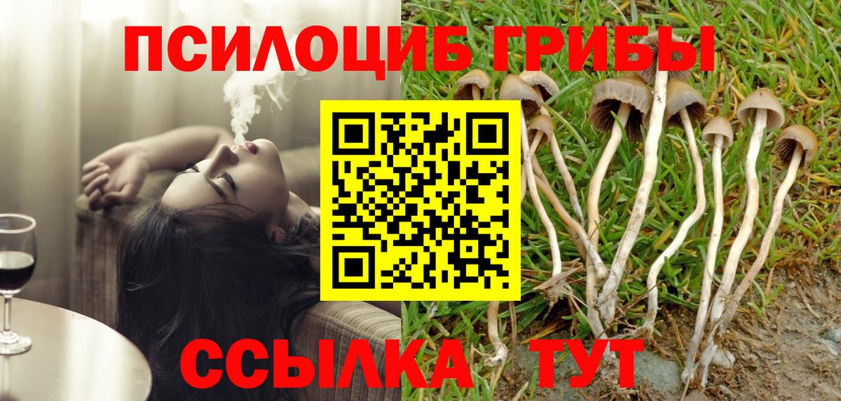 Чебоксары  Галлюциногенные грибы MAGIC MUSHROOMS  Галлюциногенные грибы прущие грибы  Вход с VPN 