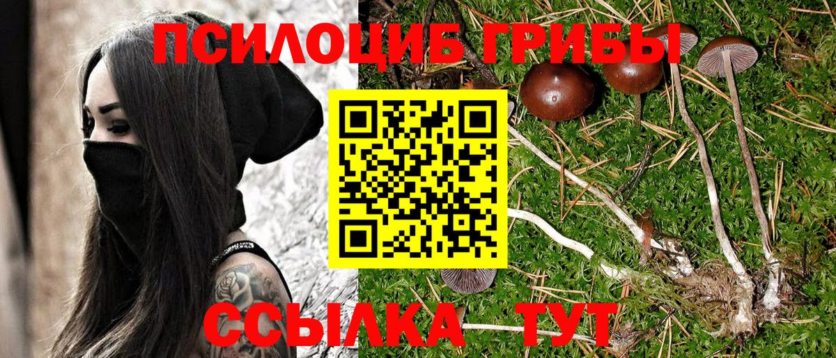 Галлюциногенные грибы GOLDEN TEACHER Чебоксары
